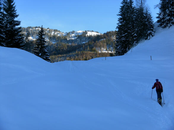 zur Stubenalm