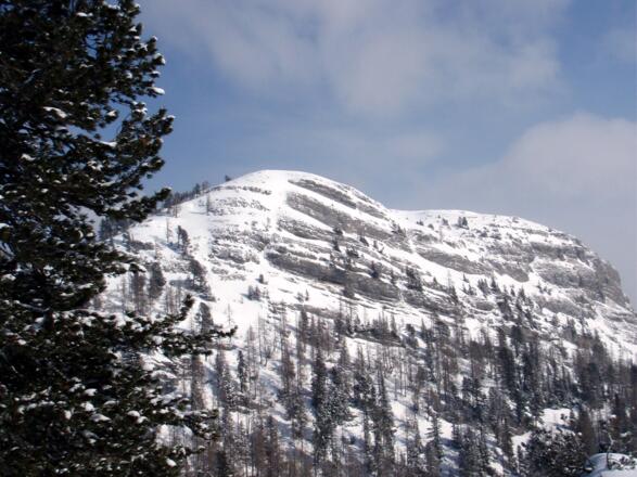 Kühfeld von Süden, vom Anstieg Torkoppen gesehen.