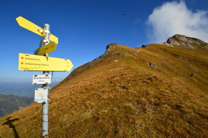 Die Brandlscharte - von da an geht es nur noch bergab