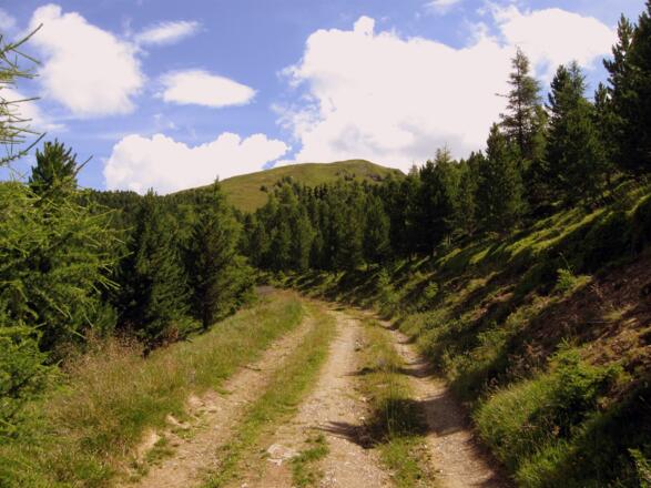 Auf dem Weg zur Jagdhütte (privat). Der Weg wird hier schon gröber aber noch fahrbar.