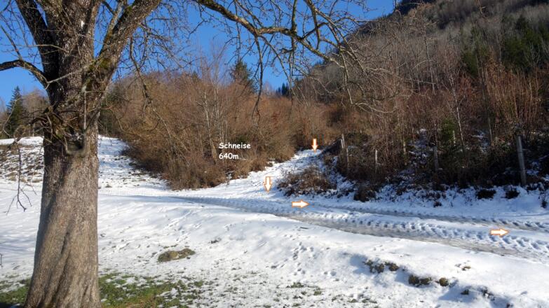 Ende Schneise, Wanderweg 31
