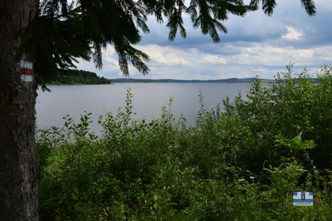 Moldaustausee