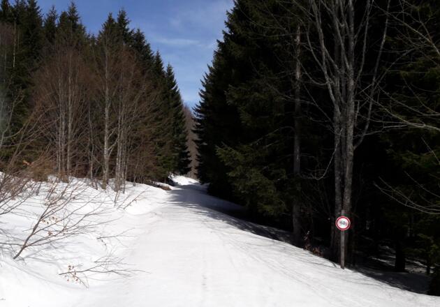 Kreuzung (~1085m) rechts abwärts