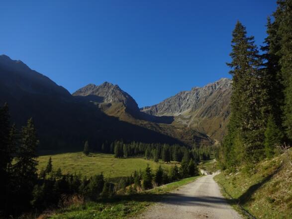 Start bei der Inzinger Alm - kurz der Forststraße folgen