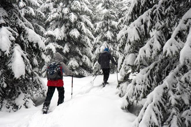 Schluss-Anstieg Haubenberg 1036m, weglos