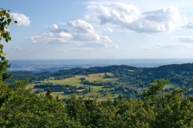 Donauebene vom Saustein