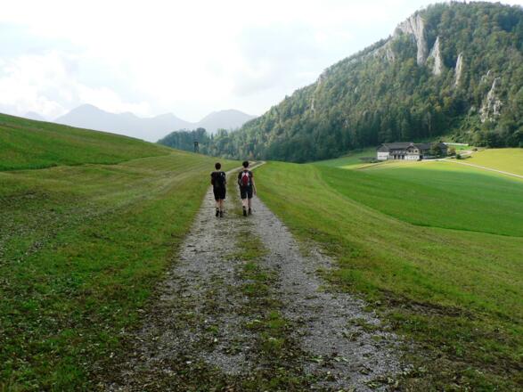 ... zurück zum Gehöft Hintsteiner...