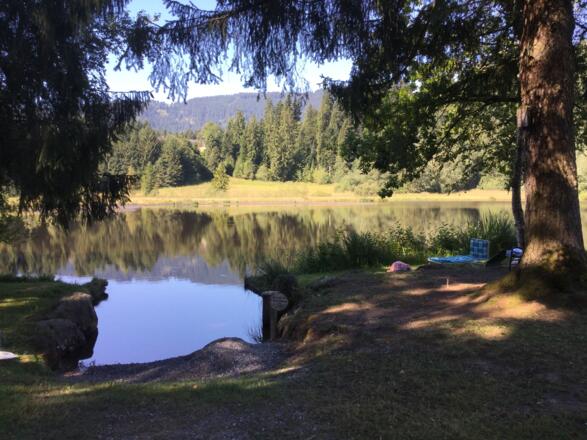 Gieringer Weiher mit Bademöglichkeit
