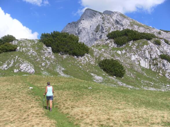 am Kamm vor der Sunntigerspitze