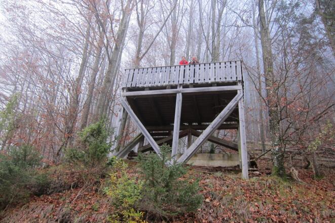 Von der Aussichtsplattform genießt du einen tollen Blick ins Große Weißenbachtal
