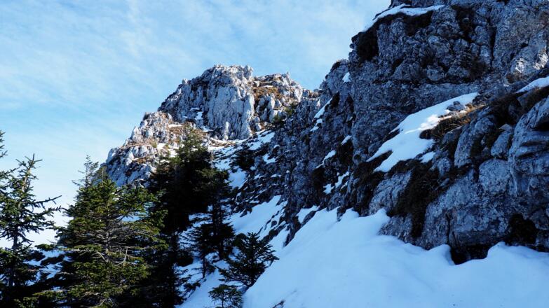 Grat 1555m, nordseitig zum 1.Gratgipfel