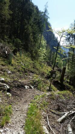 Vom Wanderweg die Abzweigung zum Klettersteig/ Zustieg