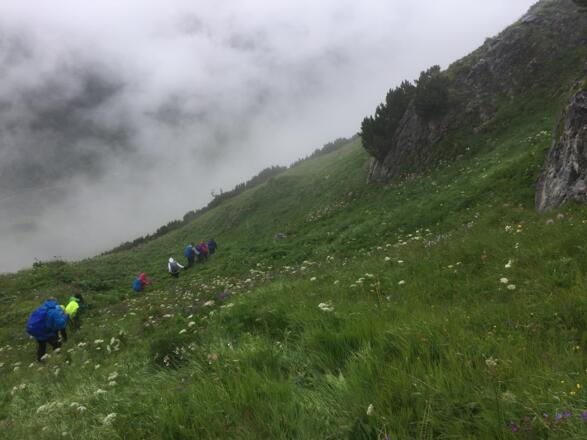 Schöne Blumenwiesen werden durchwandert