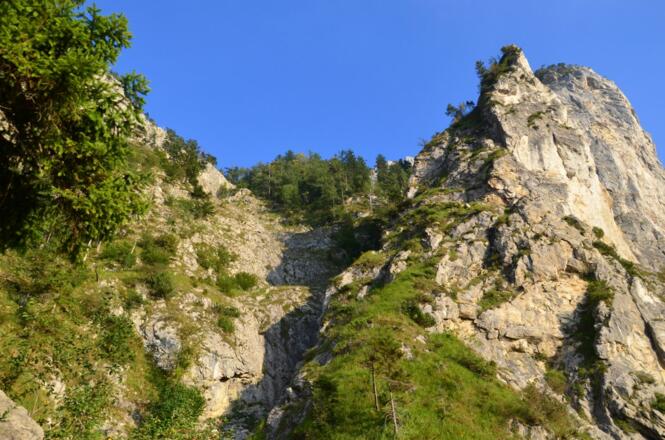 Blick auf den Brandkogel