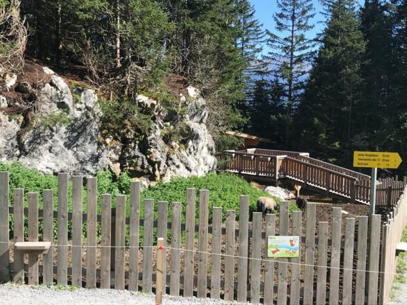 Almzoo mit Wegweiser zur Untermarkter Alm