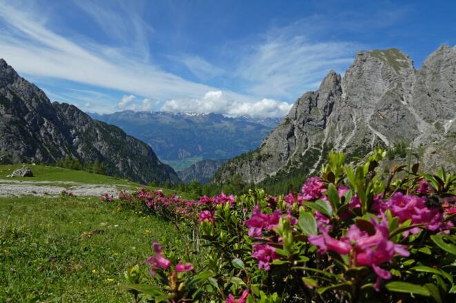 Im Aufstieg auf den Zochenpass – rechts der Große Gamswiesenspitz