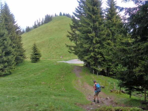 vor dem Halsgatterl