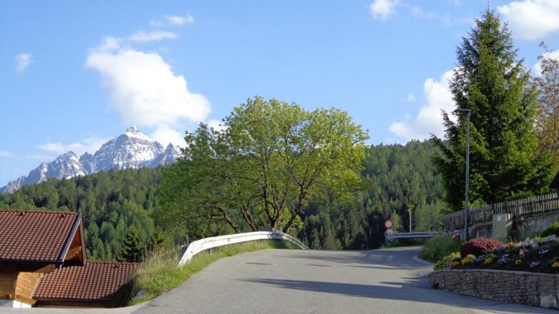 Kurz nach Kreith zweig dann links die Forststraße nach Telfes ab.