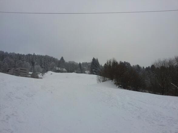 Die Waldpassage nach dem Berghof Fritsch ist vorbei.