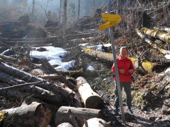 Abzweigung Michl Kniewassersteig