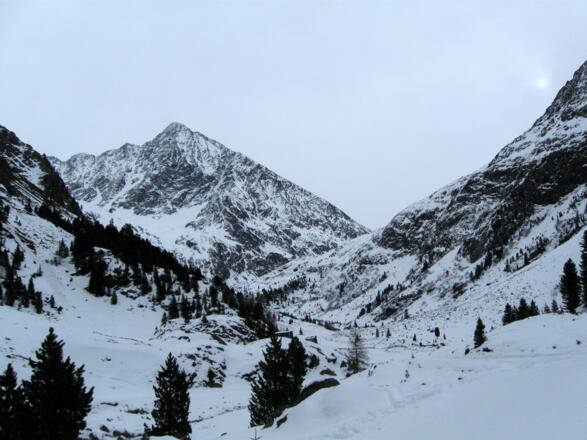 Unterhalb der Vorderen Sulztalalm. Blick ins Sulztal. In der Bildmitte der alles beherrschende Schrankogel.