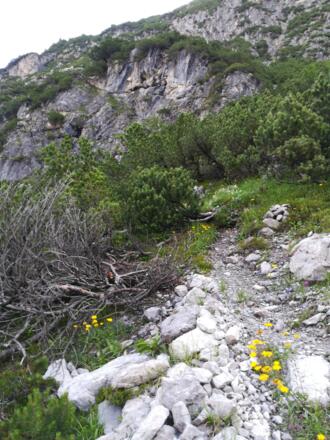Beginn des Steiges nach der Rinne
