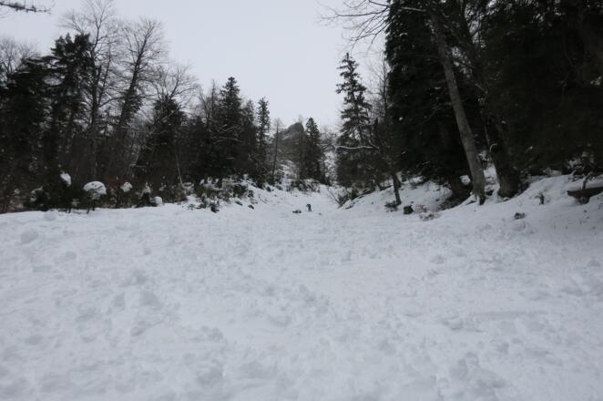 Lichtung unterhalb der Jagdhütte