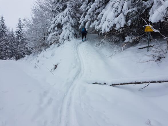 Hier zweigt rechts der Pfad zum Schieferstein ab
