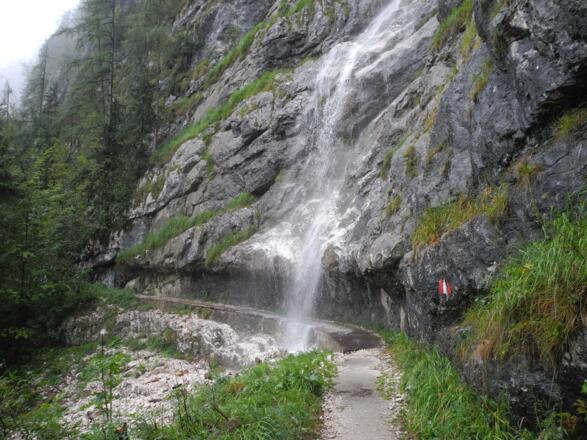 Bei Regen ist ein Schirm bei einer Begehung angebracht.