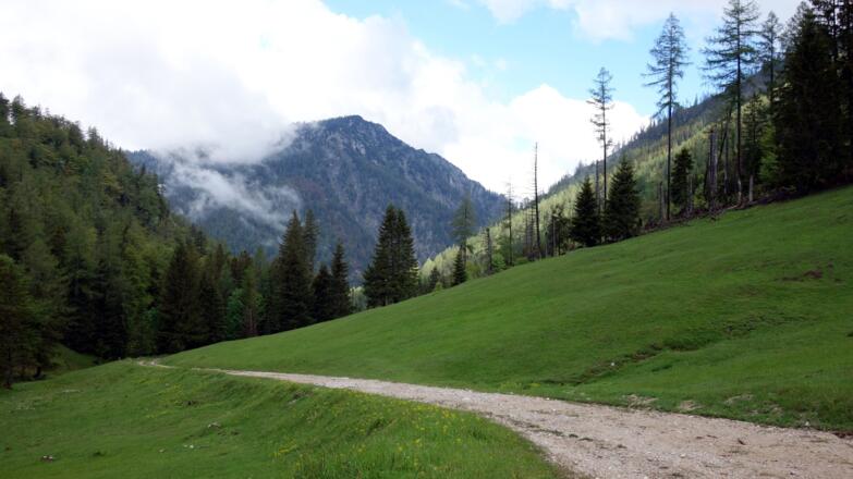 Mayrwipfl 1736m von der Weingartalm 1154m gesehen
