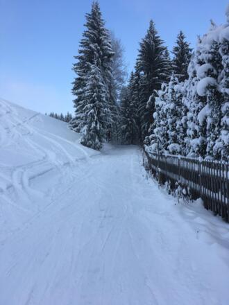 Aufstiegsspur Nähe Schigebiet