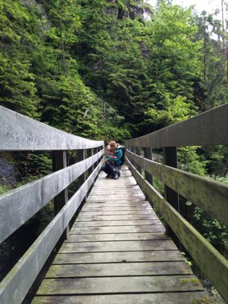 Brücke