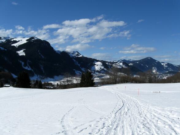 Im Flachstück im unteren Teil der Bauernwiesen.