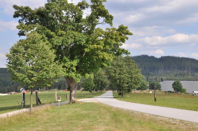 Stadlberg