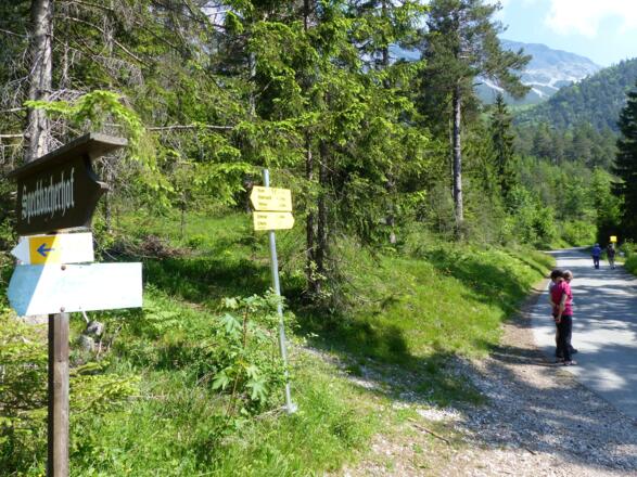 Nach einigen Auf und Abs erreichen wir die Straße in Richtung Hinterhornalm. Hier zweigen wir rechterhand ab und ...
