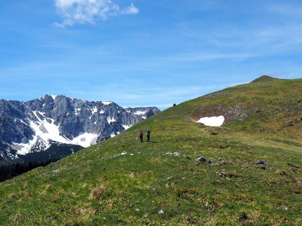 Am oberen Plateau um 1500m