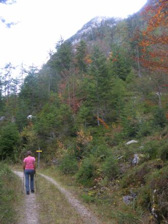 Achhornabzweig vom Güterweg