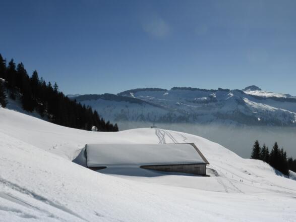 Neualpe vor Gottesakerwänden Hoher-Ifen