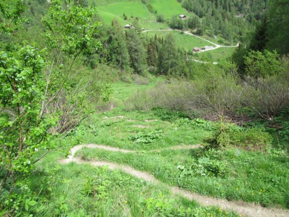 Aufstieg zum Greibichl vom Lucknerhaus