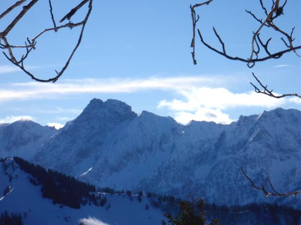Blick zum Hexenturm in den Haller Mauern