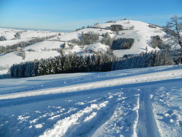 gegenüber der Briefberg