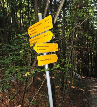 Hier zweigen wir vom Zellerlweg ab auf den Anstieg Geißwand / Baalstein