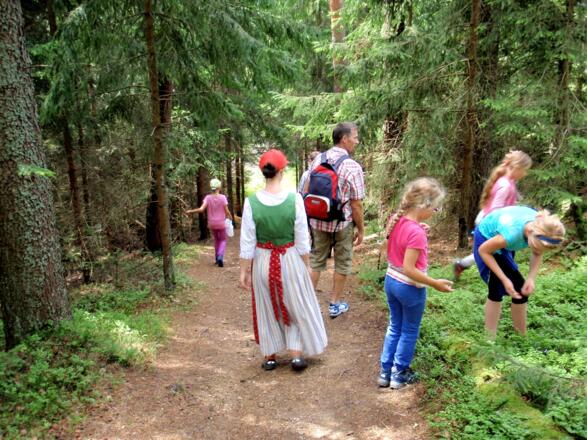Abstieg im Wald