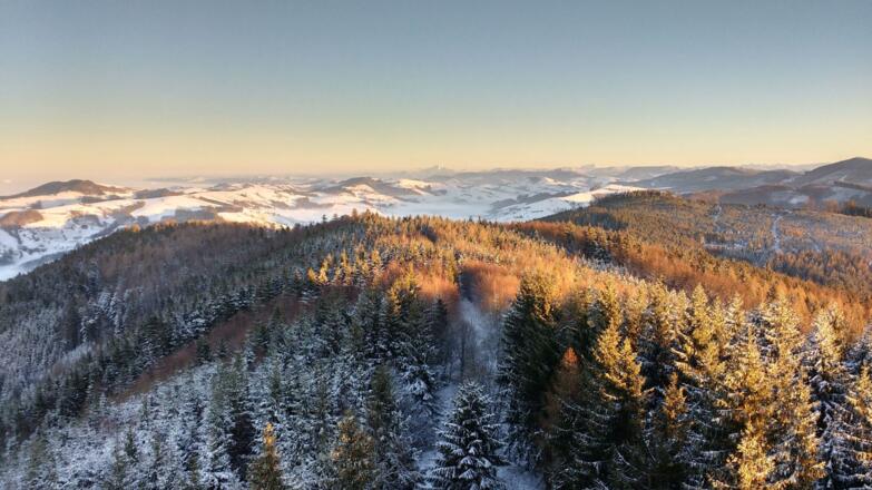 Blick von der Dambergwarte in's Niederösterreichische hinein, hinten der Ötscher.