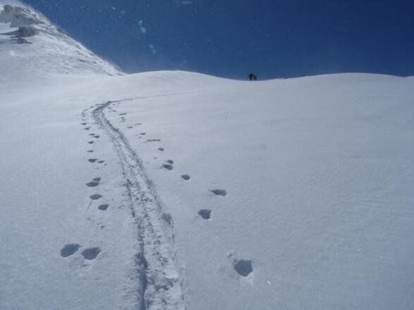 Kurz vor dem Sattel.