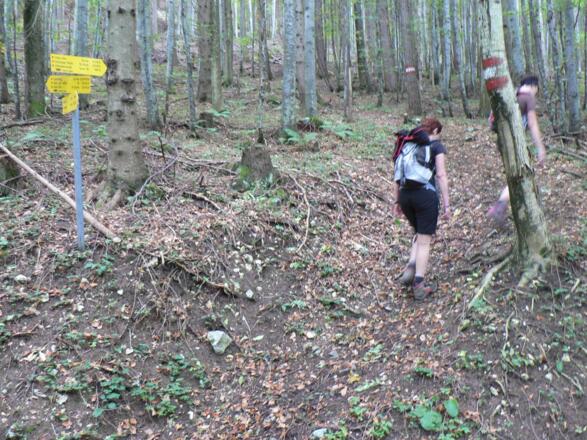... bis sich der Weg abermals teilt - wir folgen dem direkten Anstieg zur Hohen Dirn