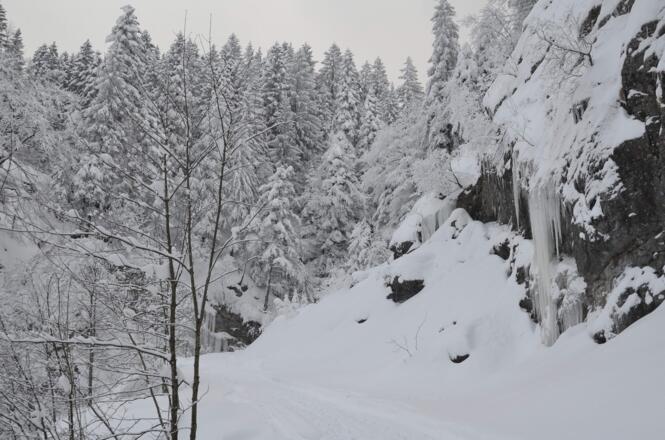 Flachstück kurz vor der Abzweigung in Richtung Millrütte