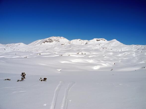 Am Schwarzmoossattel sieht man die Weite des Toten Gebirges - die rechte der vier Erhebungen ist der Grießkogel.