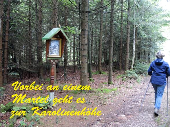 Weiter geht es Richtung Jagersberg.