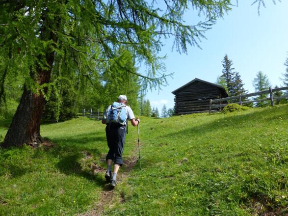 Nach dem botanischen Highlight, geht es hinauf zu den Eulenwiesen.